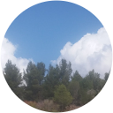 roei givoli profile picture