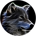 yali novich profile picture